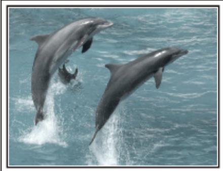 VC GZ-E205WEU - Filmer les beaux moments dans une vidéo sous forme de photographie - 2