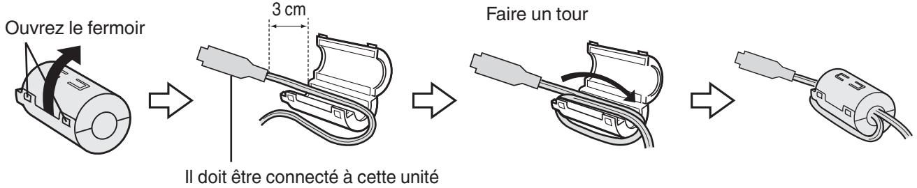 VC GZ-E205WEU - Fixer le filtre à noyau de ferrite - 1