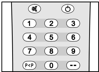 PROLINE 2110 - Basculement entre deux programmes - 1