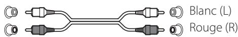 TEAC VRDS-701 - Utilisez des cables du commerce pour les branchements. - 1