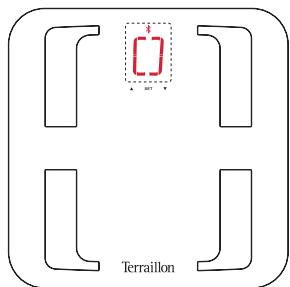 TERRAILLON WEB COACH PRIME BR - PREMIÈTÉ UTILISATION - 13