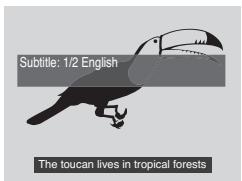 PIONEER DVR-530H-AV - Appuyez de manière repétée sur SUBTITLE pour selectionner la langue de sous-titrage. - 1