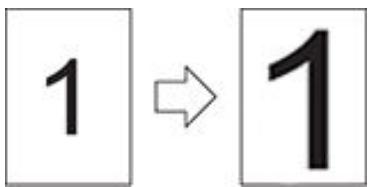 PANTUM P355SO0ODW - Fonctions d'impression - 6