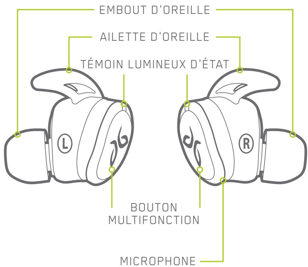 JAYBIRD RUN - Présentation du produit - 1