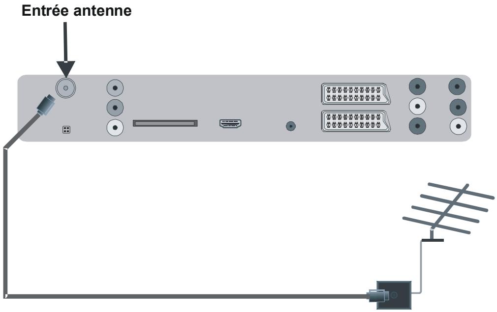 PROLINE LD2215D - Branchement de l'antenne - 1