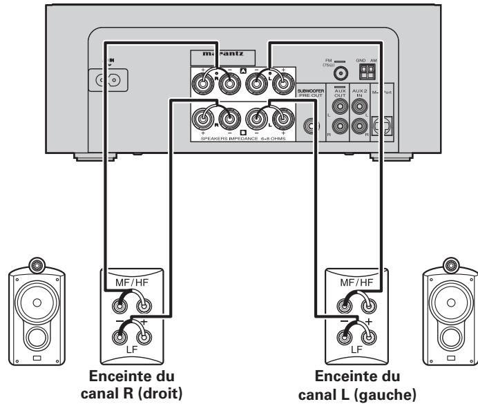 MARANTZ M-CR503 - Connexion des cables d'enceinte - 1