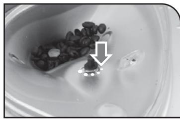 SAECO RI9757/01 - COFFEE GRINDER ADJUSTMENT - RÉGLAGE DU MOULIN - 4