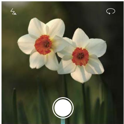 HUAWEI NOVA DUAL ROSE OR - Lancer l'appareil photo depuis la galerie - 1