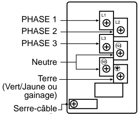 STOVES PSTERG60DFCCT - Branchement de l'alimentation electrique - bornier - 1