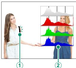 DARTY FUJIAPN HYBRIDEX-1T5 - Histograms - 3