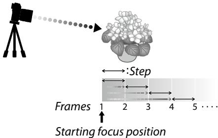 DARTY FUJIAPN HYBRIDEX-1T5 - Focus and FRAMES/STEP - 1