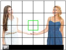 DARTY FUJIAPN HYBRIDEX-1T5 - FRAMING GUIDELINE - 2