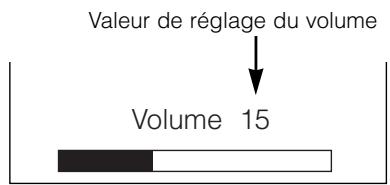 HITACHI PW2 - Mode Sourdine Audio - 1