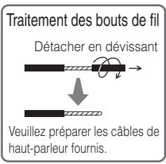 HITACHI PW2 - Fixer les supports de haut-parleur - 2