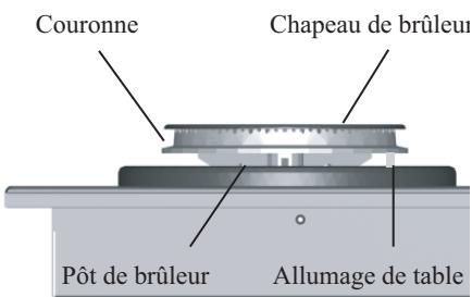 AEG FM 4300 GAN - Brûleurs - 1