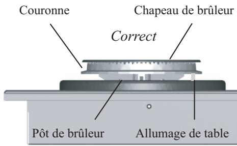 AEG FM 4300 GAN - Brûleurs - 2