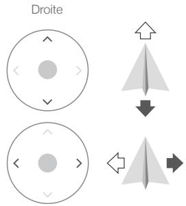 DJI MavicAirWhiteCombo - Utilisation des manettes virtuelles - 2