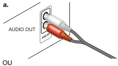 BOSER AV321GSX - Connexion d'un terminal cable ou autre composant - 6