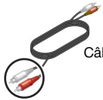 BOSER AV321GSX - Connexion d'un terminal cable ou autre composant - 1
