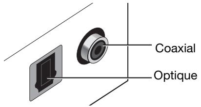 BOSER AV321GSX - Connexion audio numérique du composant - 1