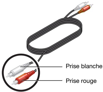 BOSER AV321GSX - Connexion d'un terminal cable ou autre composant - 5
