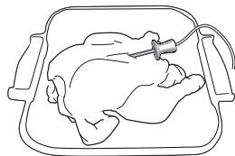HITCHENAID KOHSP60601 - SONDE À VIANDE - 2
