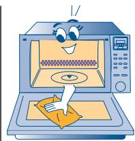 SCHOLTES MWA 23 TCO - RECOMMANDATIONS IMPORTANTES DE SECURITE - 1