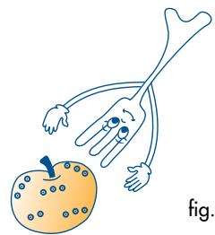 SCHOLTES MWA 23 TCO - REGLES FONDAMENTALES POUR LA CUISSON AUX MICRO-ONDES - 1