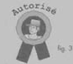 ROSIERES RSK 305 RBCO - RECOMMANDATIONS IMPORTANTES DE SECURITE - 3