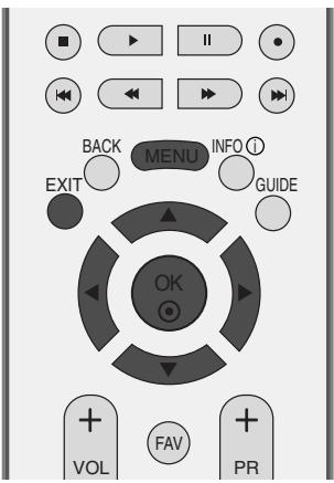 LG-GOLDSTAR 32LC45 - Tonalité de couleur - Option Utilisateur - 1