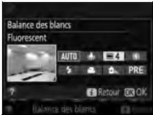 NIKON D3300+18-105Mm - Choisissez une option de balance des blancs. - 2