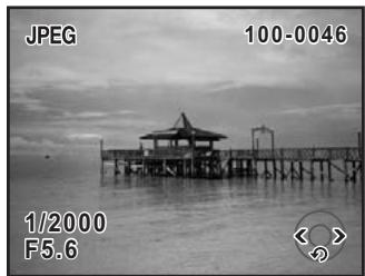 PENTAX K200D+18-55+50-200 - Agrandissement des images - 2