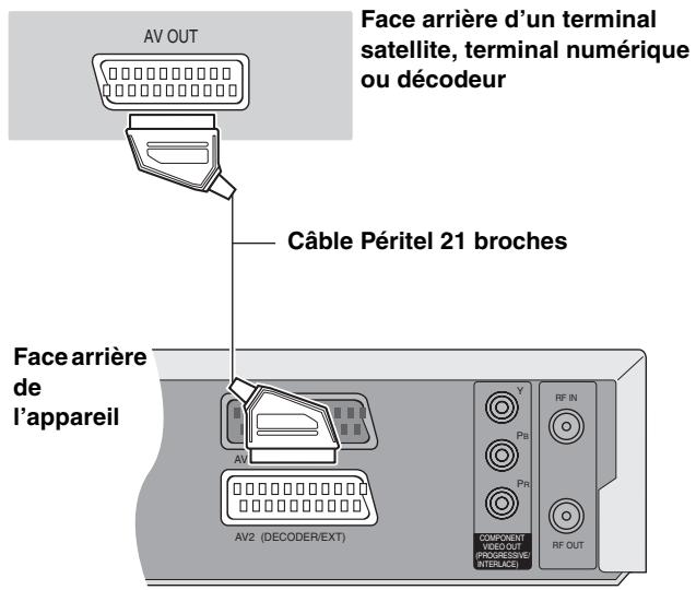 PANASONIC DMIR-E85H - Raccordement d'un terminal satellite, d'un terminal numérique ou d'un décembre - 1