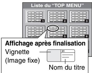 PANASONIC DMIR-E85H - DVD-R - 1