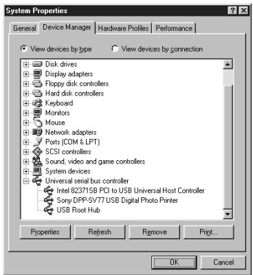 SONY DPP-SV772001 - Using your printer with Windows computers - 2