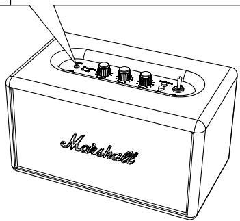 MARSHALL ACTON CREAM - ENTREE - PRISE STEREO 3,5 MM - 2
