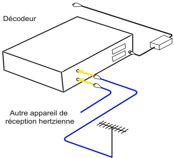 SAGEM ITD 81 BG HD - Raccordements à l'antenne - 1