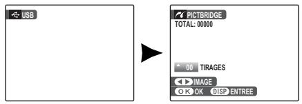 FUJIFILM A100 - Raccordement de l'appareil photo - 2