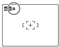 FUJIFILM A100 - Mode macro (gros plans) - 2