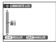 FUJIFILM A100 - LUMINOSITE LCD - 1