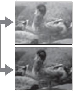 FUJIFILM A100 - COMPENSATION D'EXP - 2