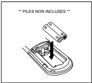 PROLINE CD6604 - POUR UNSTALLER LES PILES DANS L'APPAREIL DE TELECOMMANDE - 2