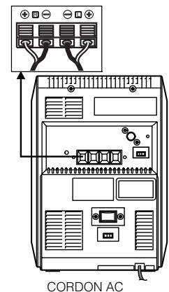 PROLINE CD6604 - FONCTIONNEMENT DE L'APPAREIL - 1