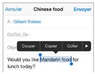 APPLE iPH 4S 8GO - Modifier du texte - 2