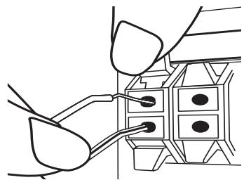 LG XB66 - Raccordement des enceintes à l'appareil - 1