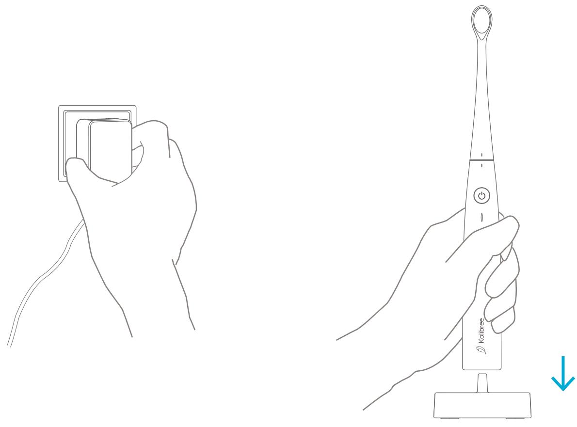 ROLIBREEREFERENCE OBO0154 - Recharger la Brosse à dents - 1