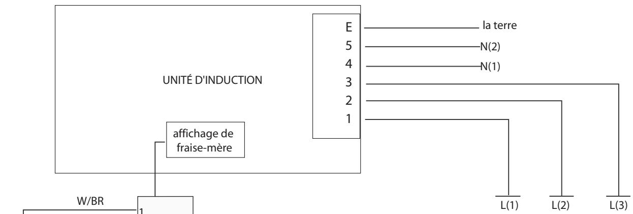 FALCON F900 DXE - Assistance Clientèle - 1