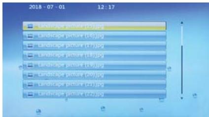 BRANDT CPN-806 - AFFICHAGE DES PHOTOS - 2