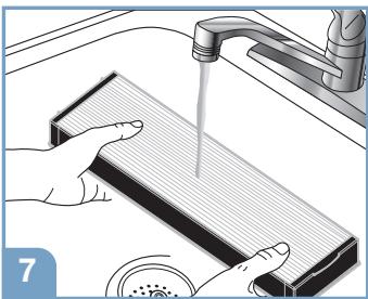 DARRY BRAUN BFD104BE2 - Nettoyage du filtré ECO - 7