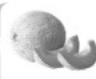 FAGOR FG135 - Peaux dures ou non comestibles - 1